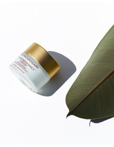 Bruno Vassari Daily Cream Pelle Secca 50 ml 2