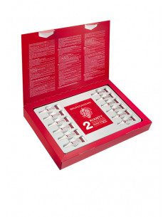 Bruno Vassari Kianty Experience Viniferin Visible Results kit 6 trattamenti