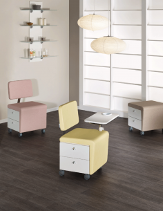 Carrello con Seduta Wallie 2