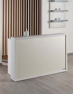 Reception Millennium Skai 2