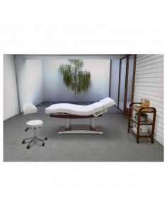 Carrello Assist Trolley 2